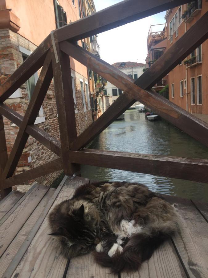 Tintoretto Vista Real Venice Exterior photo